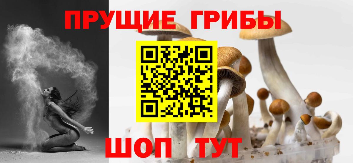 Галлюциногенные грибы Psilocybine cubensis  цены   Похвистнево  Вход с VPN 